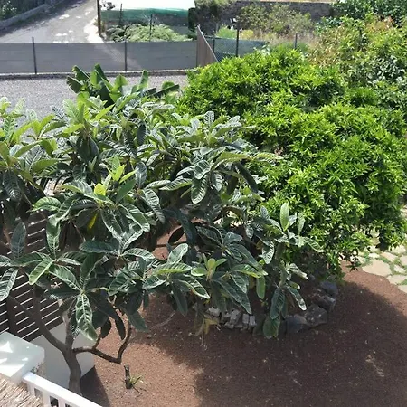 Apartment Chimeneas *